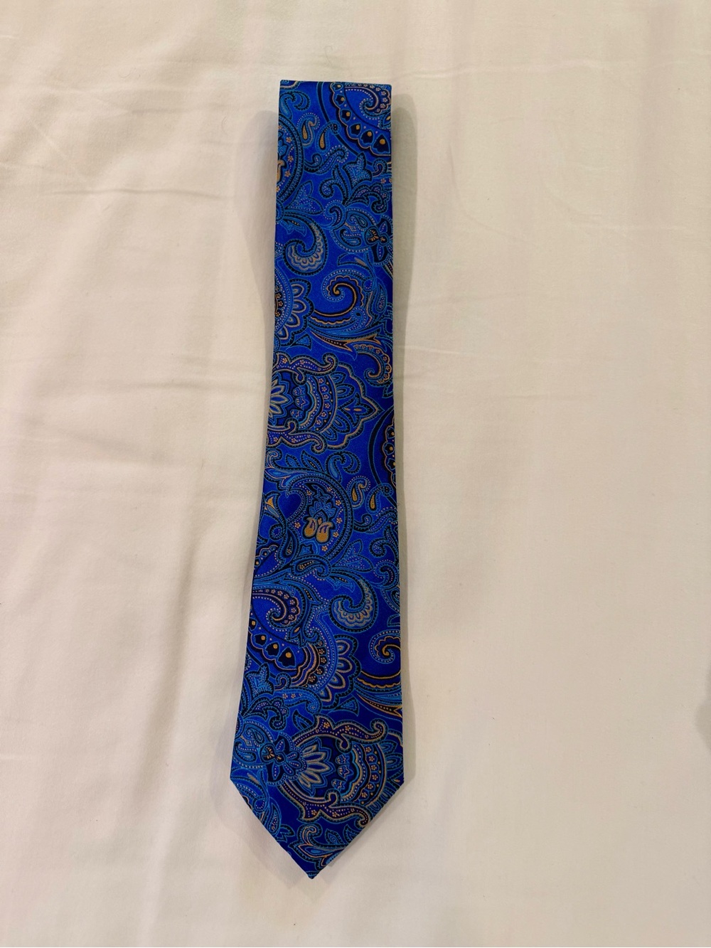 Vibrant Blue Silk Paisley Men's Tie - Refined Formal Accent